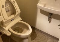 IMG_1377